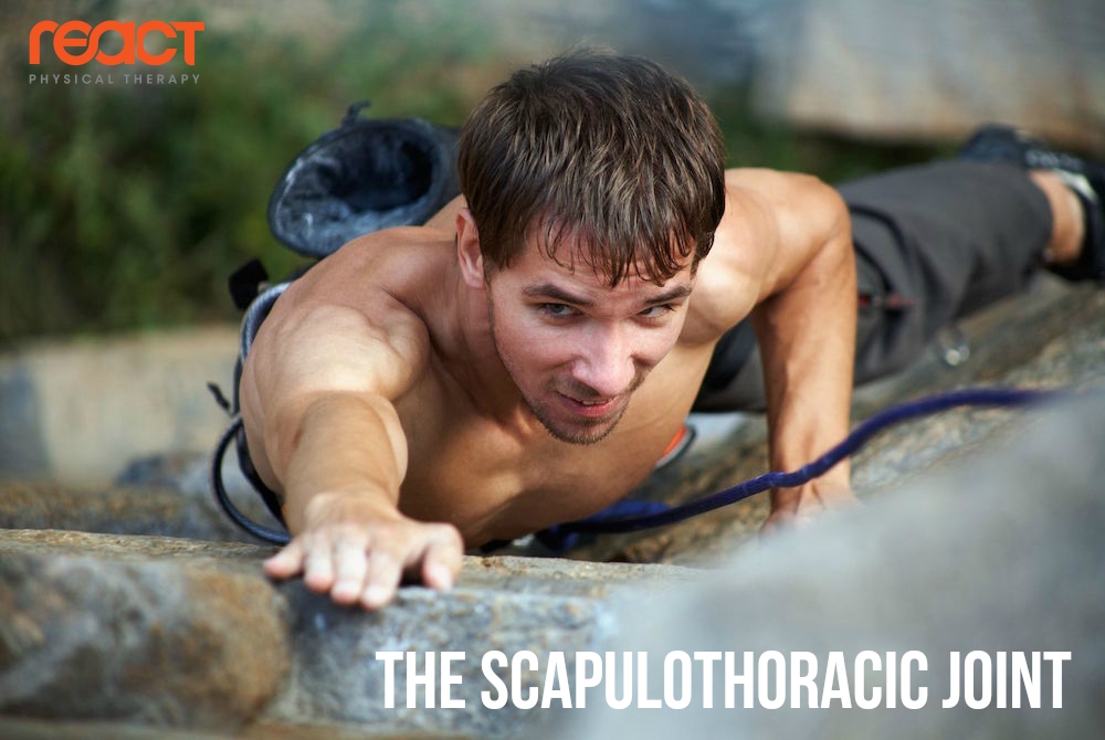 ShoulderJointBlog5 ShoulderJointBlog5