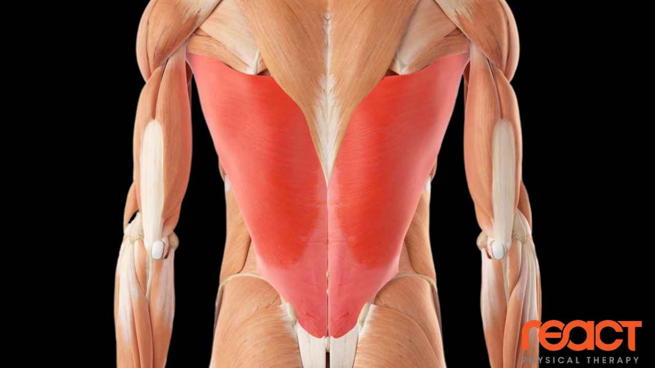Lats blog Lats blog