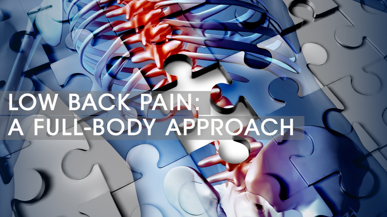 Low Back Pain YT Low Back Pain YT